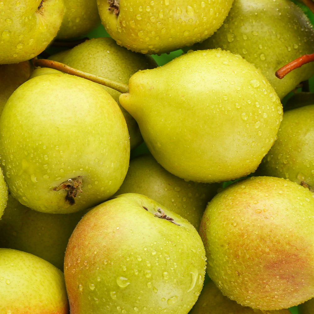 Pear