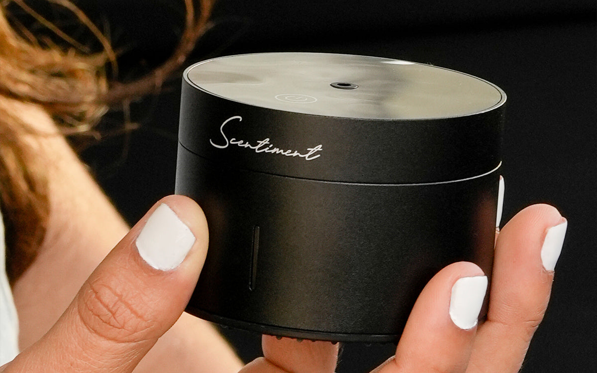 20% OFF Member-Only Savings