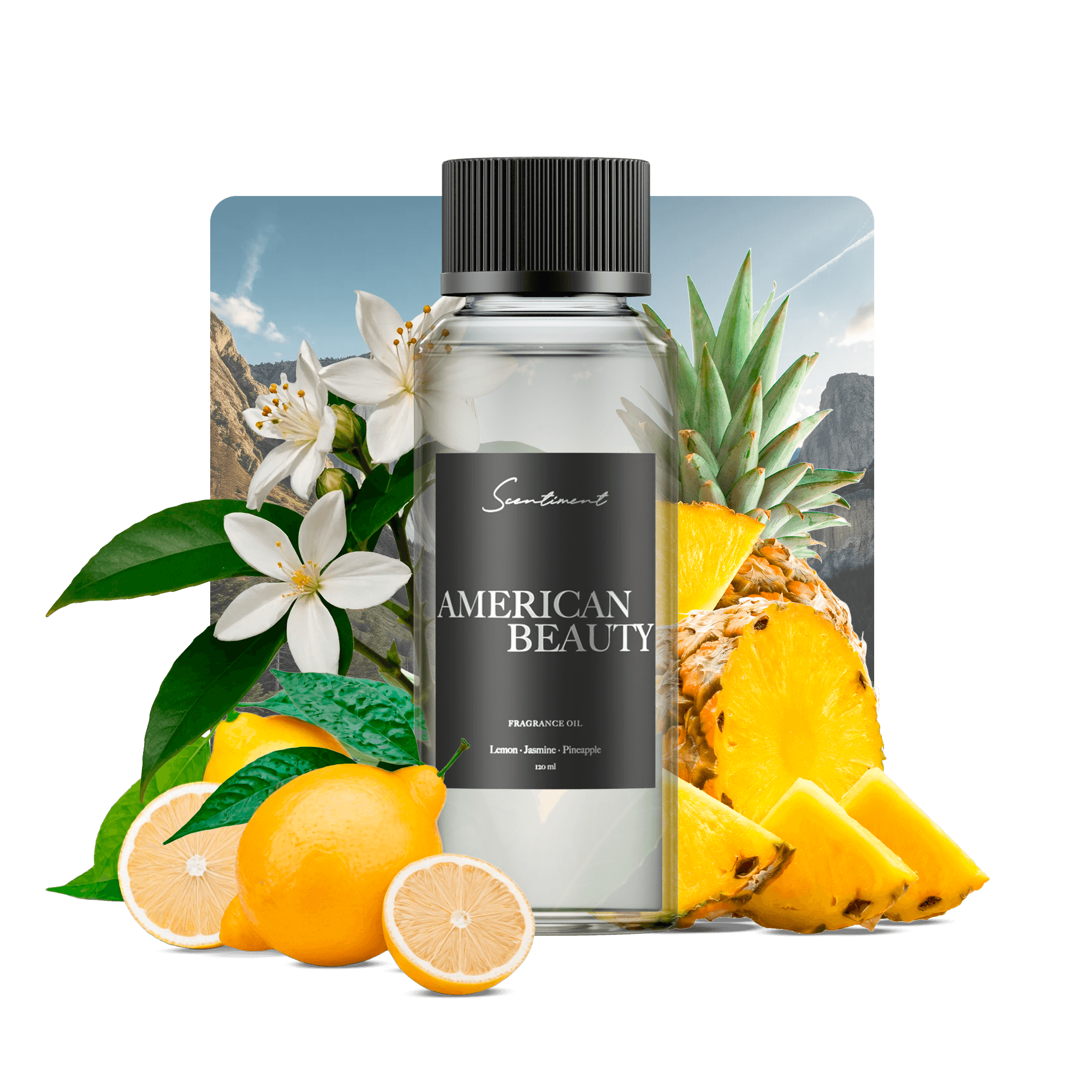 20 ml