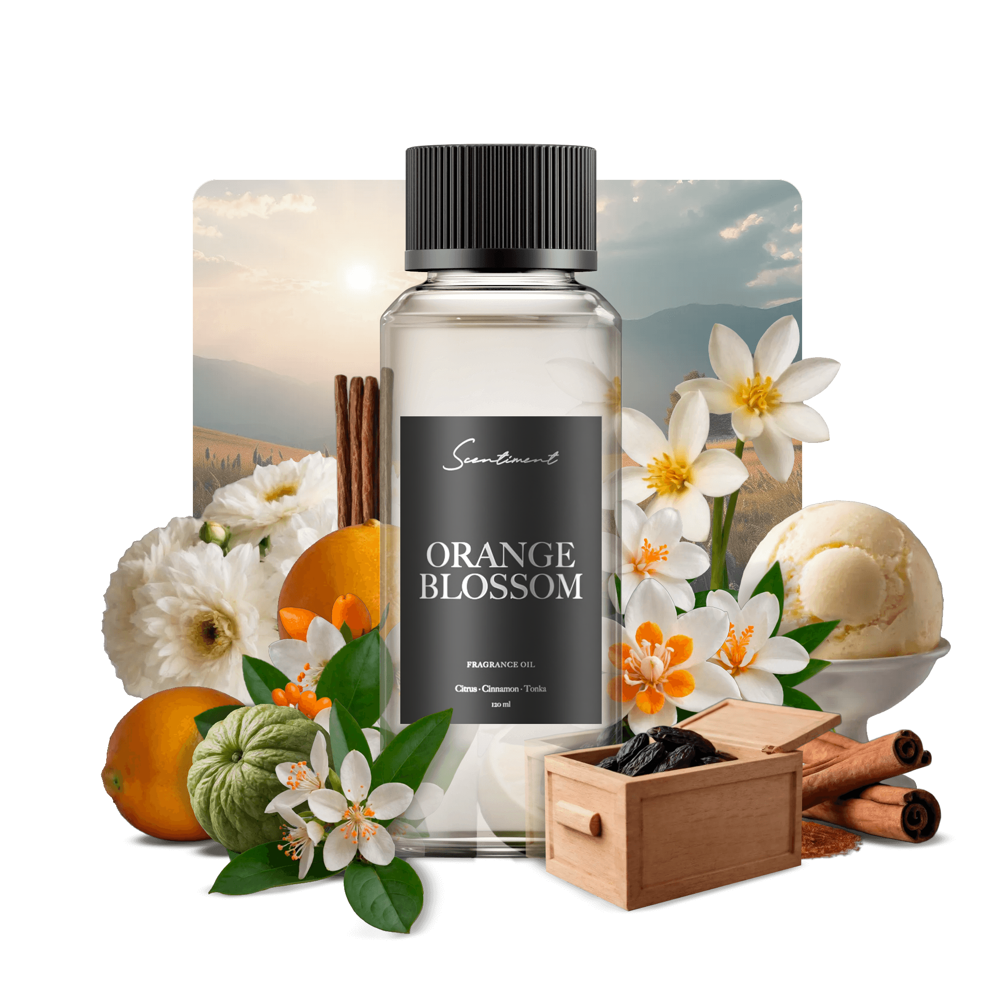 20 ml