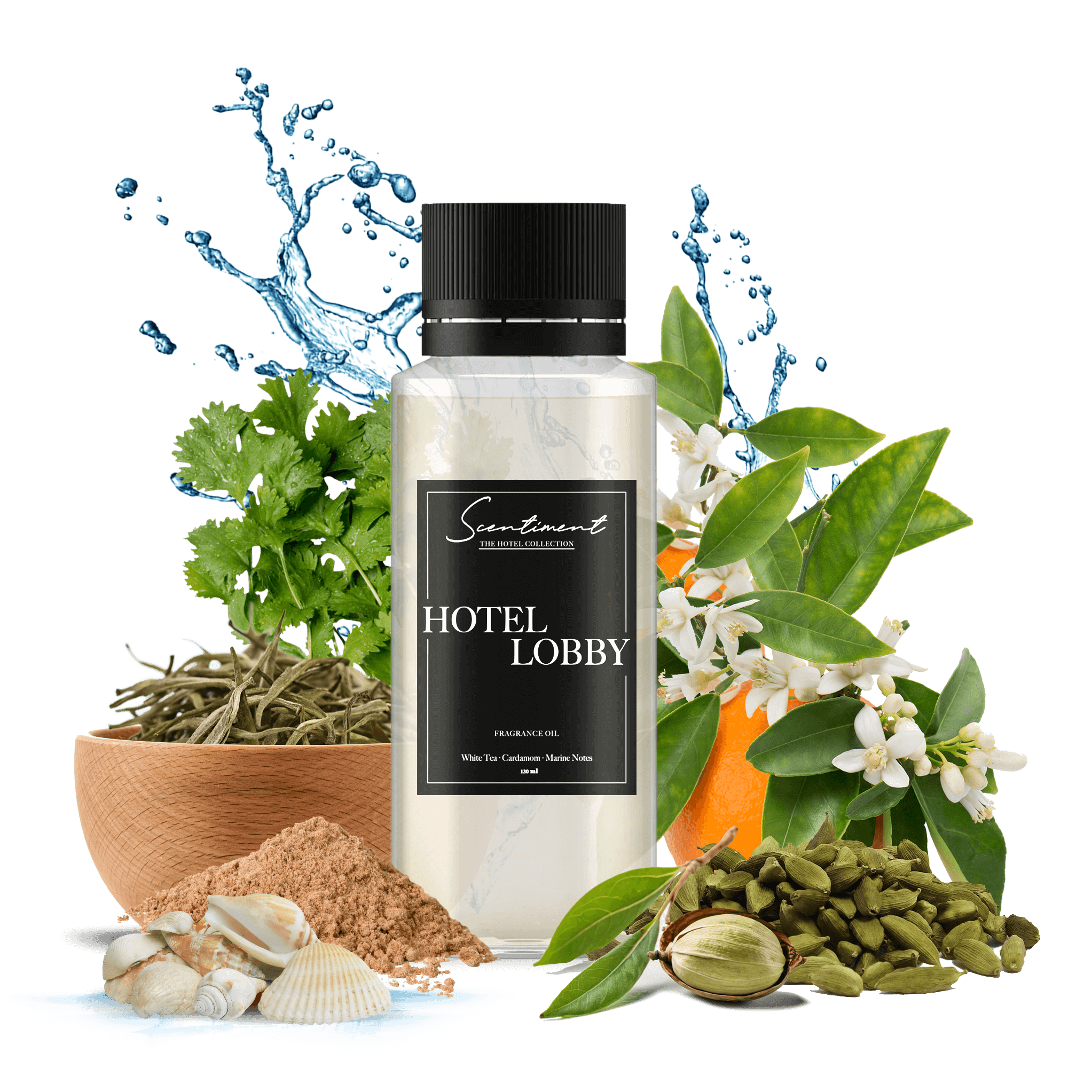 Hotel Lobby Inspired by Hilton Hotel® Fragrance Oil Scentiment