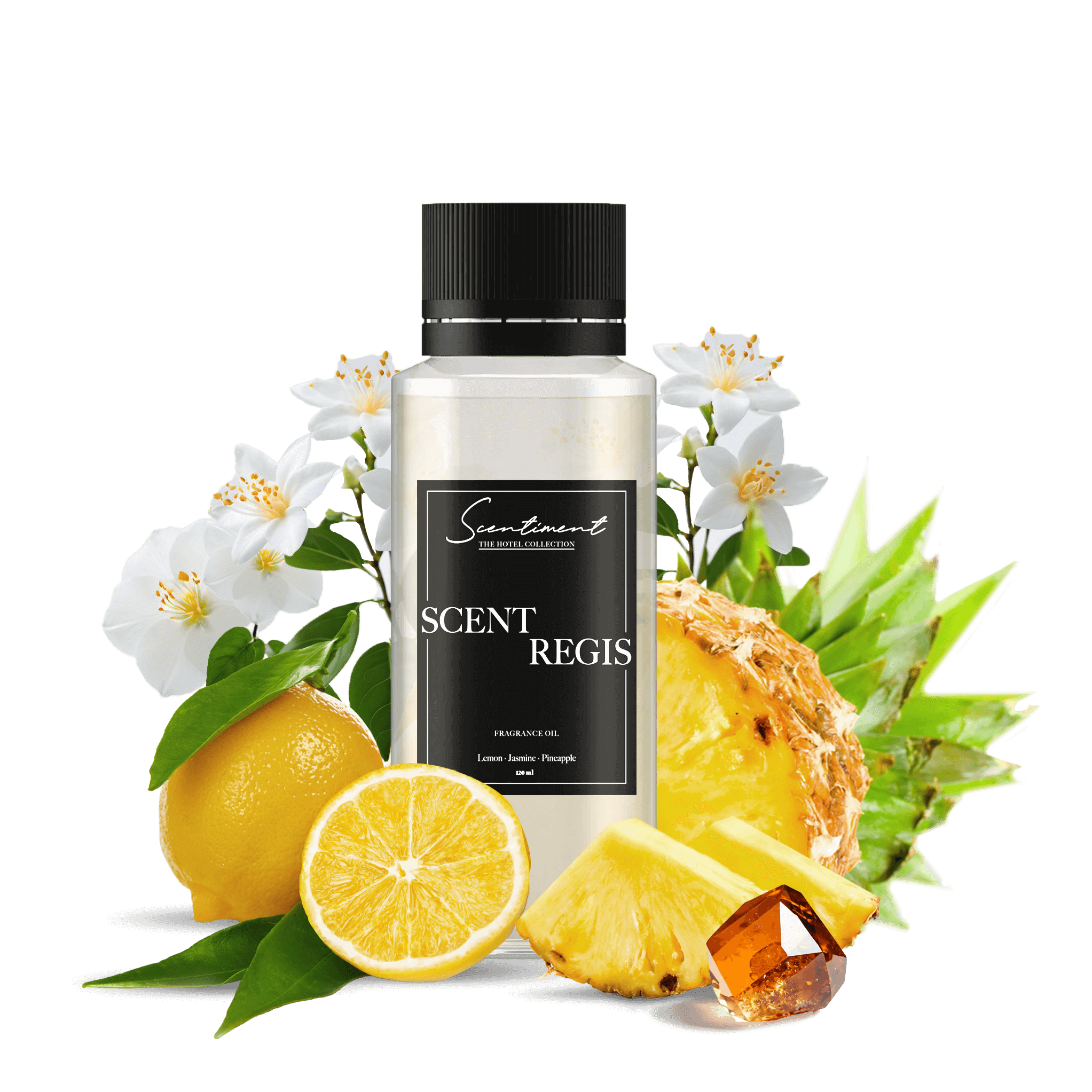 Scent Regis Scentiment