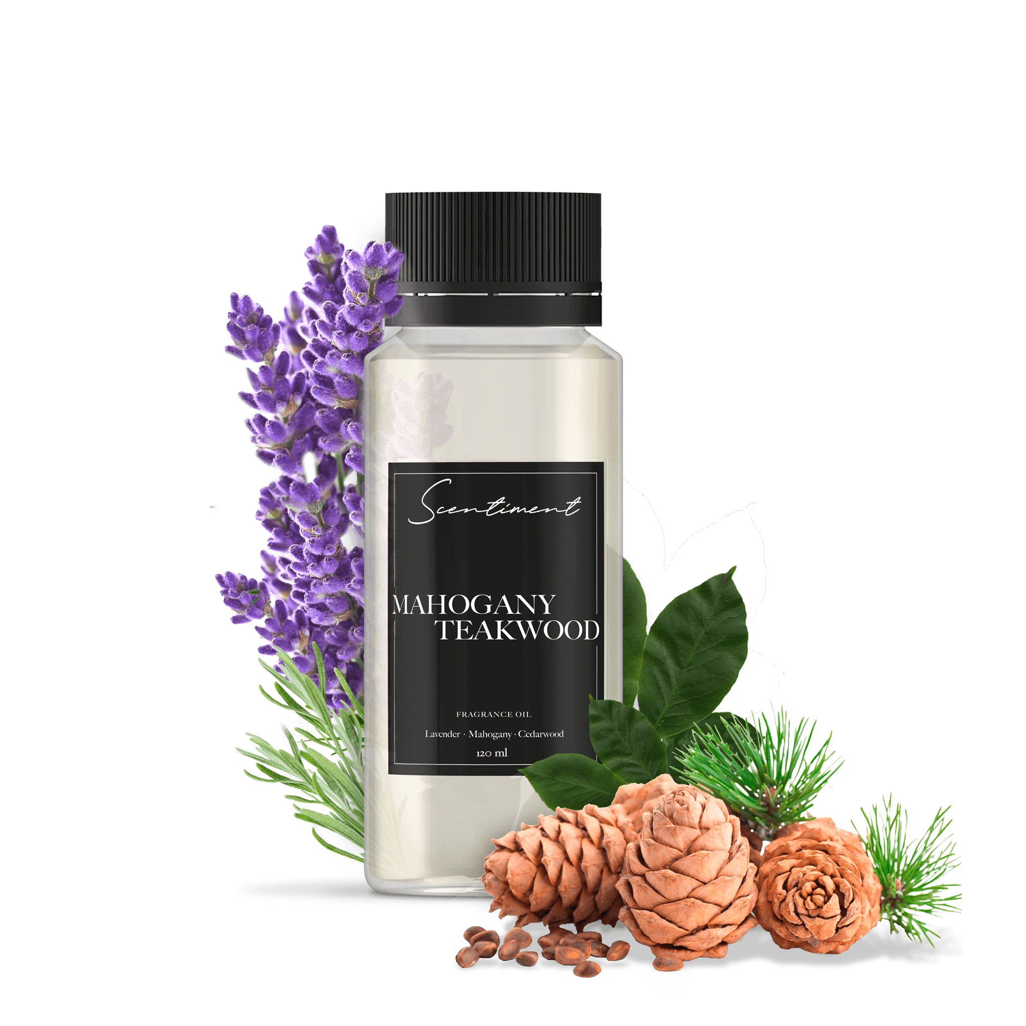 Mahogany Teakwood Fragrance Oil Scentiment