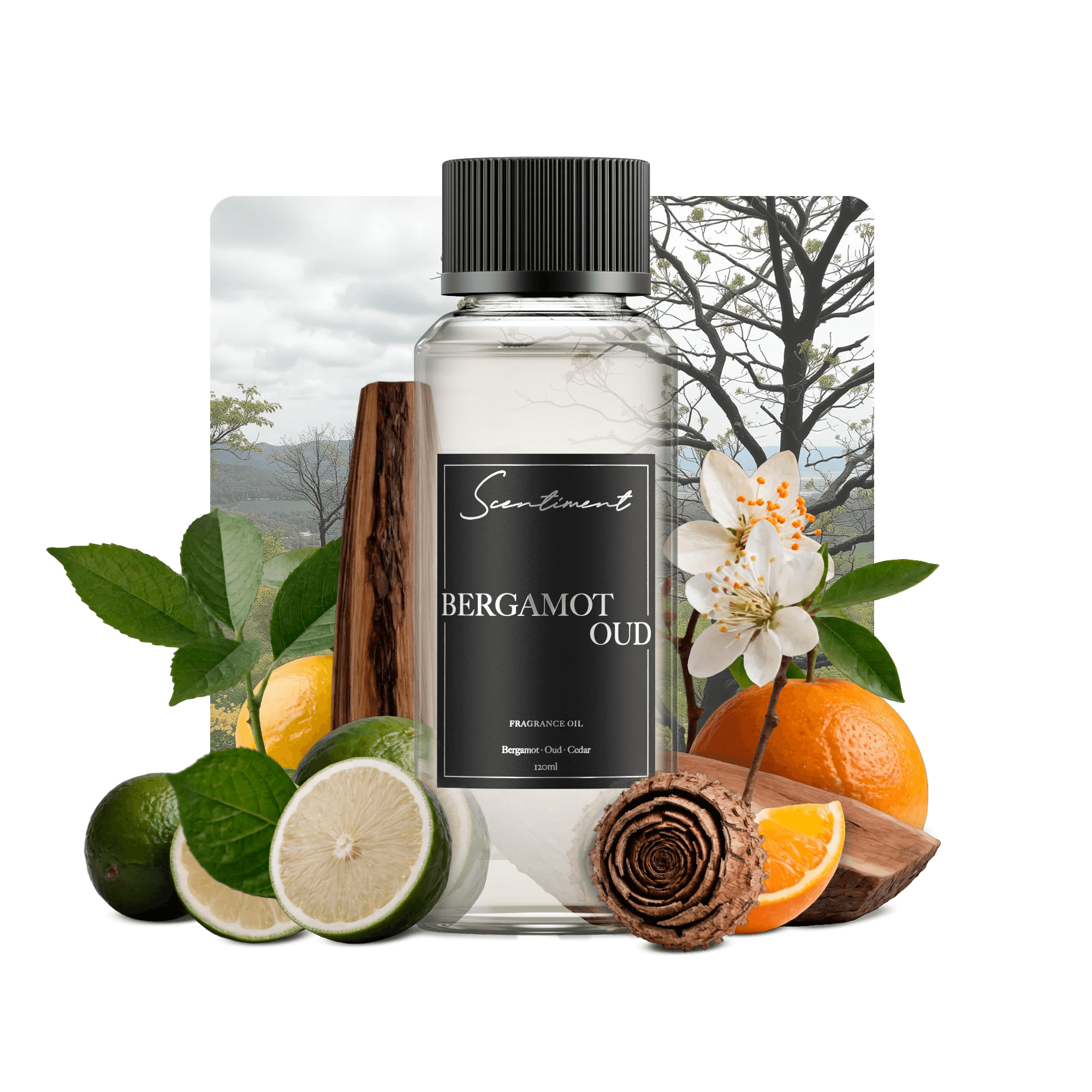 20 ml