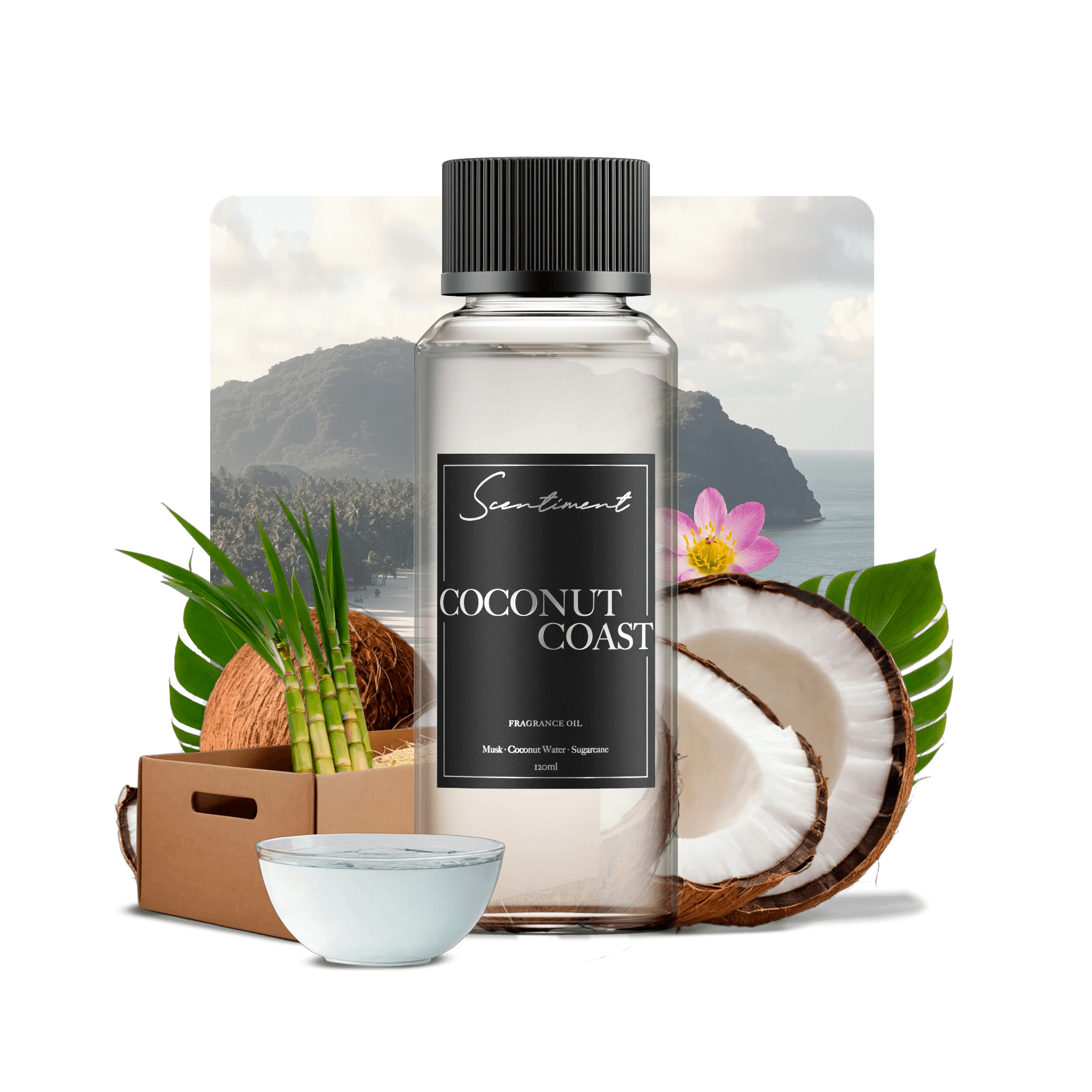 20 ml