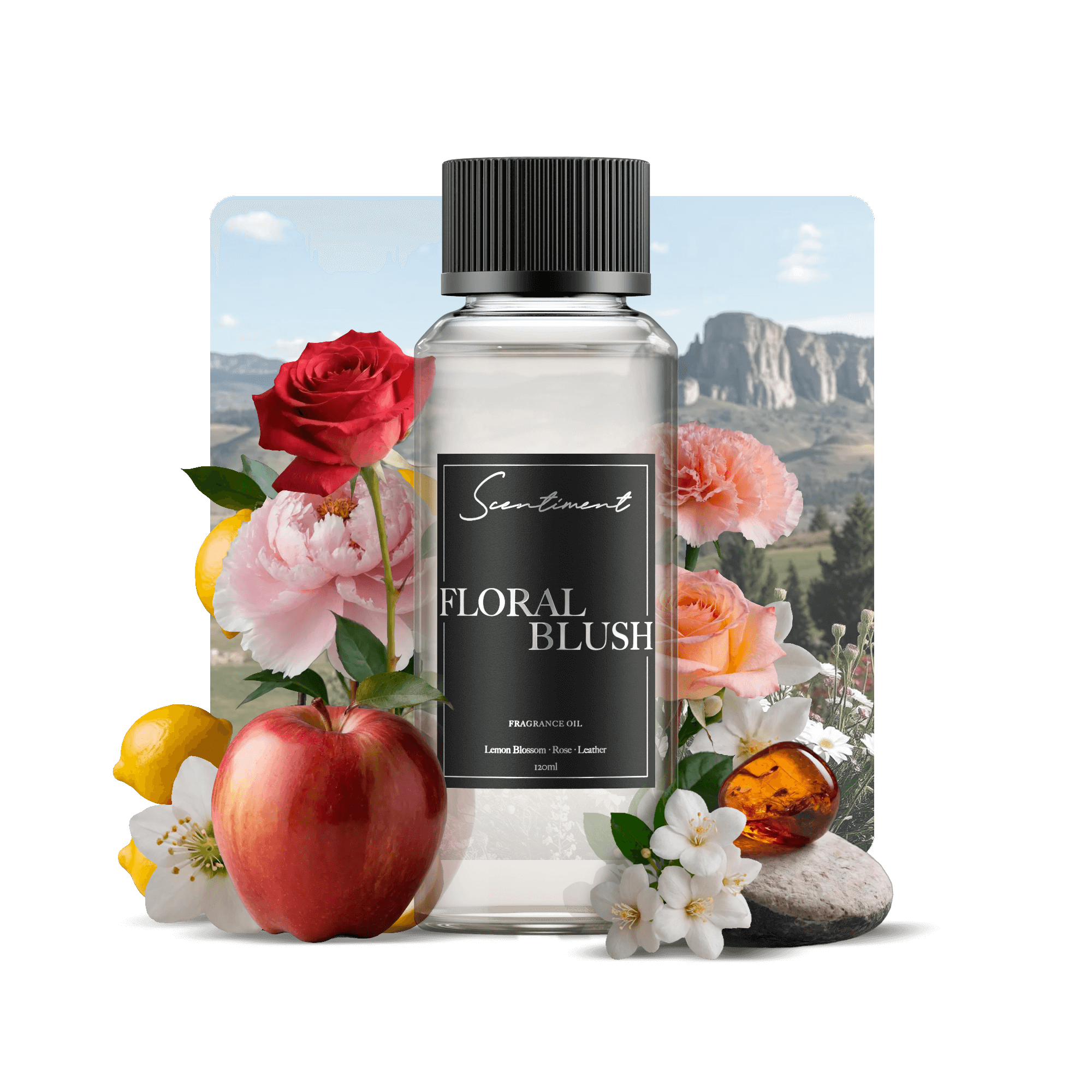 20 ml