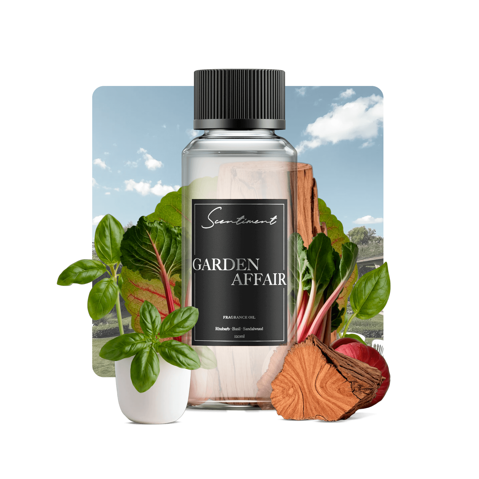 20 ml
