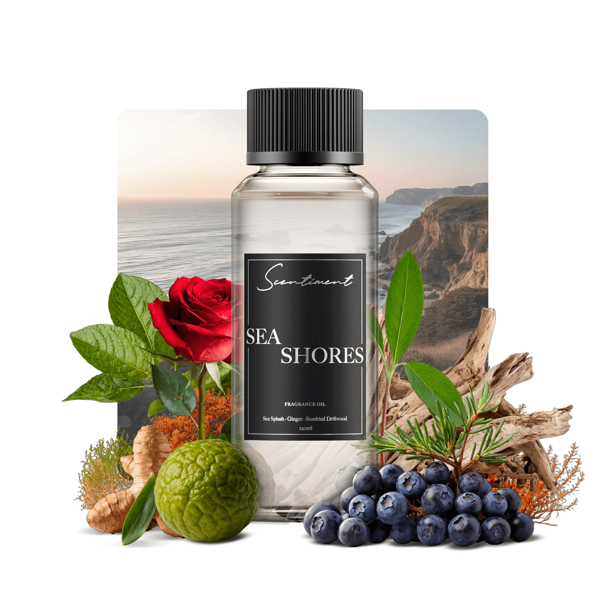 20 ml