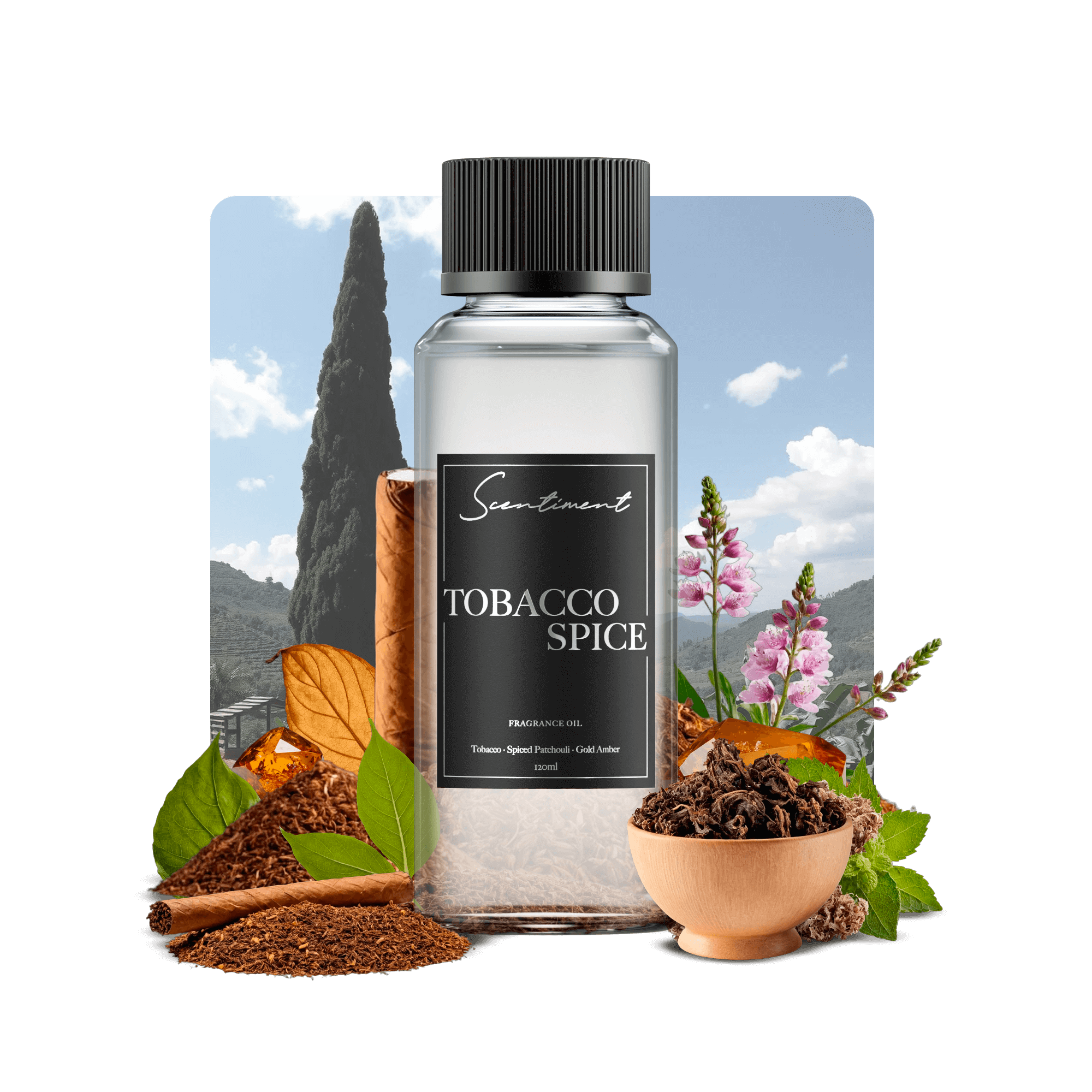 20 ml