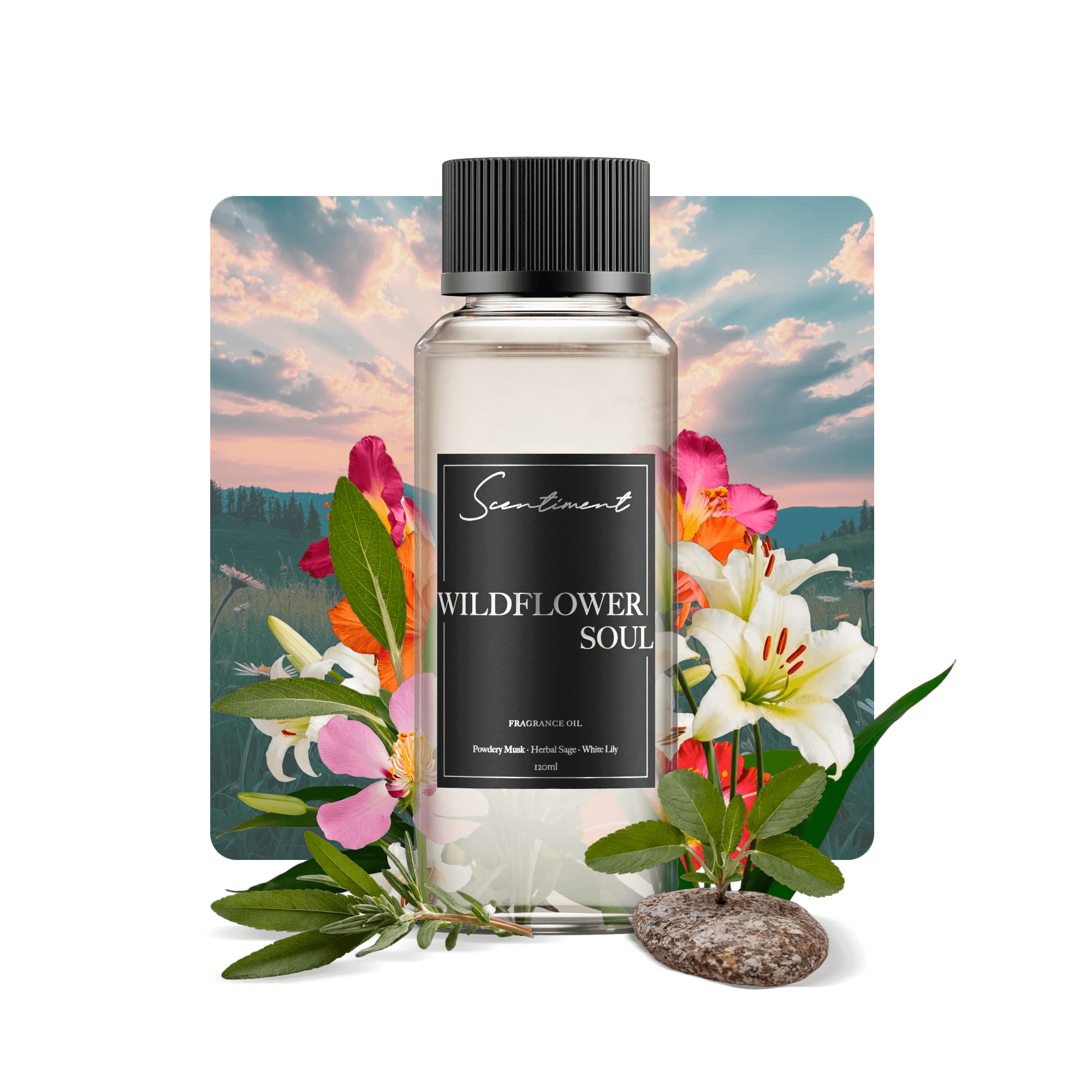 20 ml