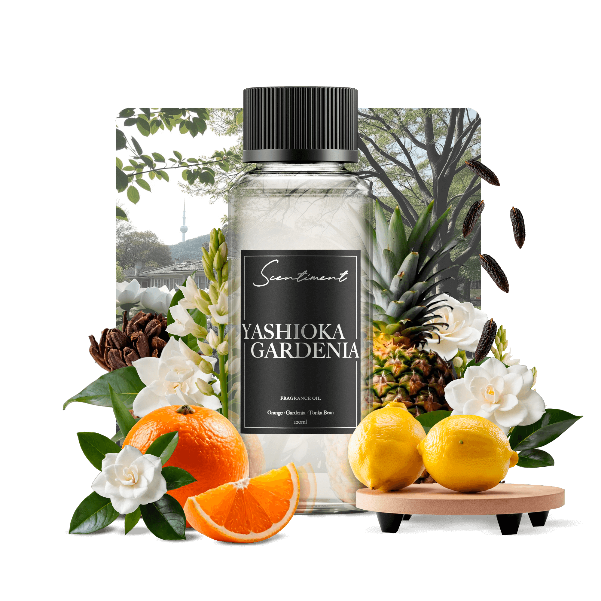 20 ml