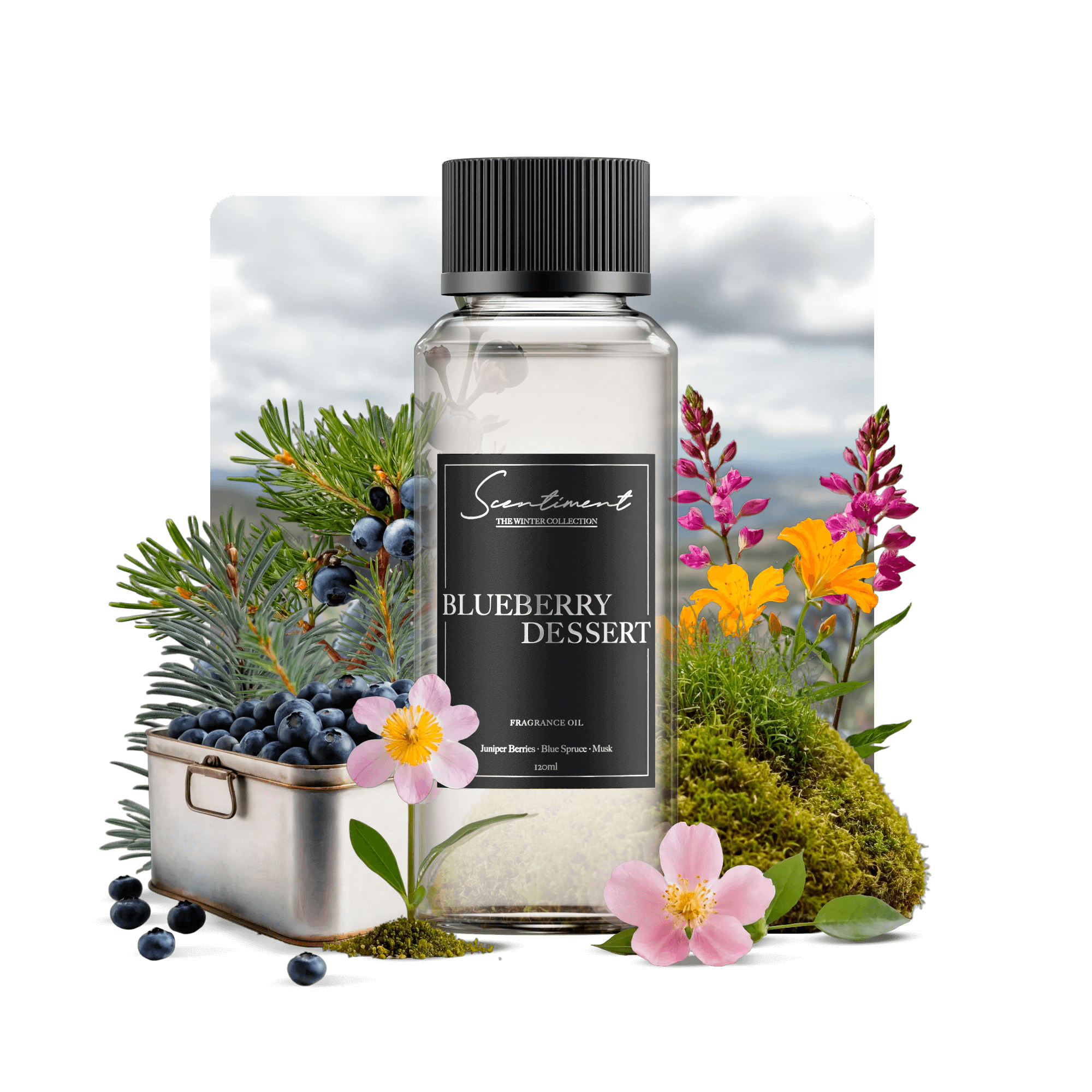 Blueberry Cheesecake Dessert Fragrance Oil Scentiment blueberry-cheesecake-dessert-fragrance-oil-scentiment