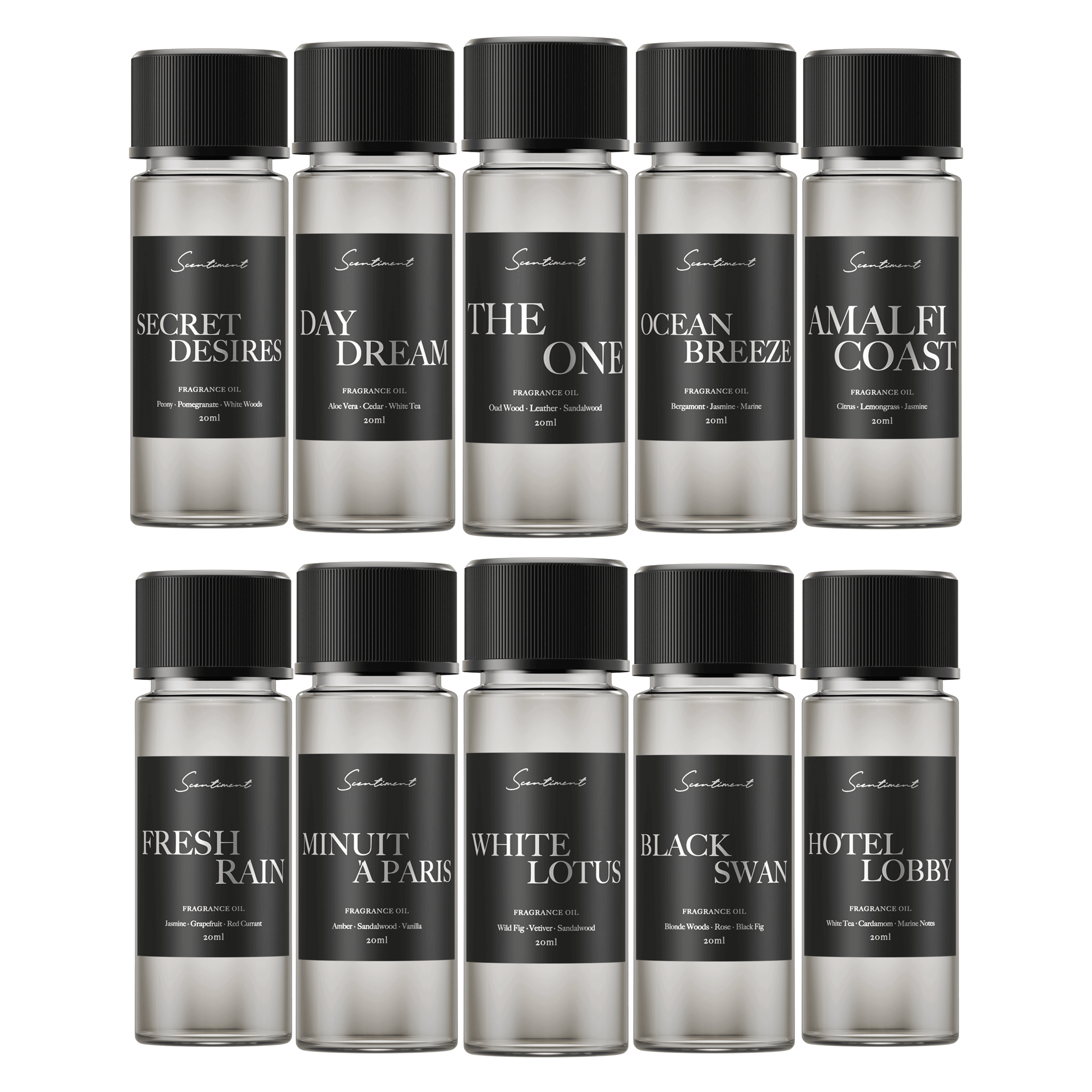 20ml x 10