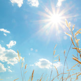 Warm Ozone