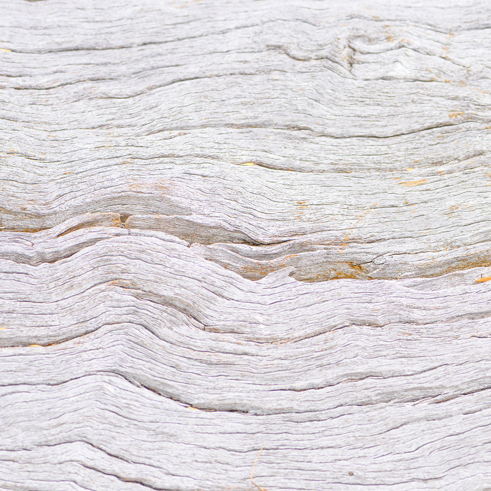 White Woods