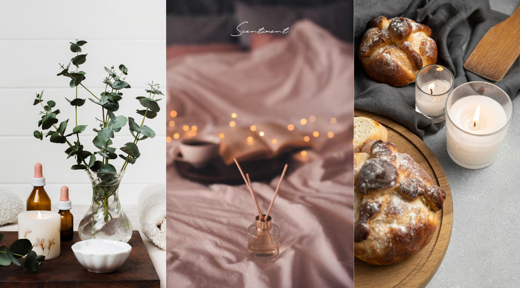 Best Fragrances to enhance the environment of every room and style. Premium scents with high quality ingredients.