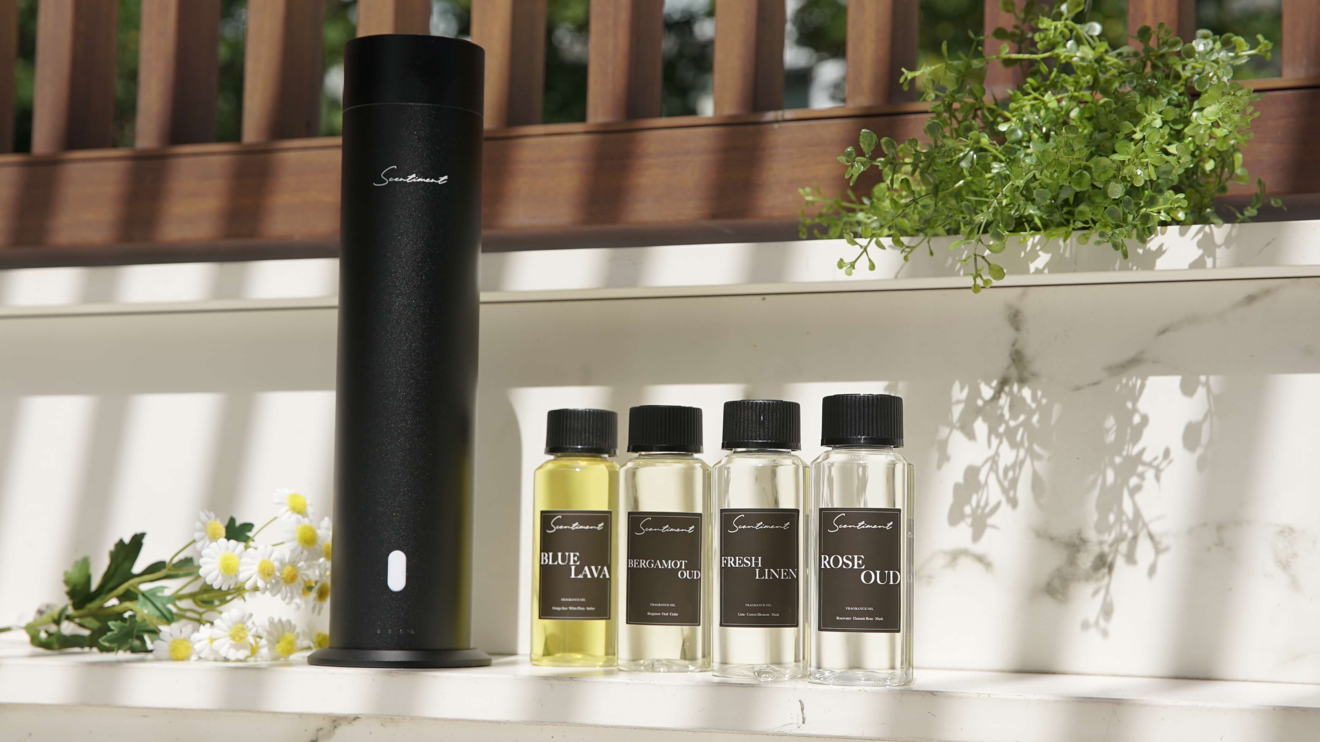 Black Scent Diffuser with Spring Scents