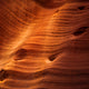 Amberwood
