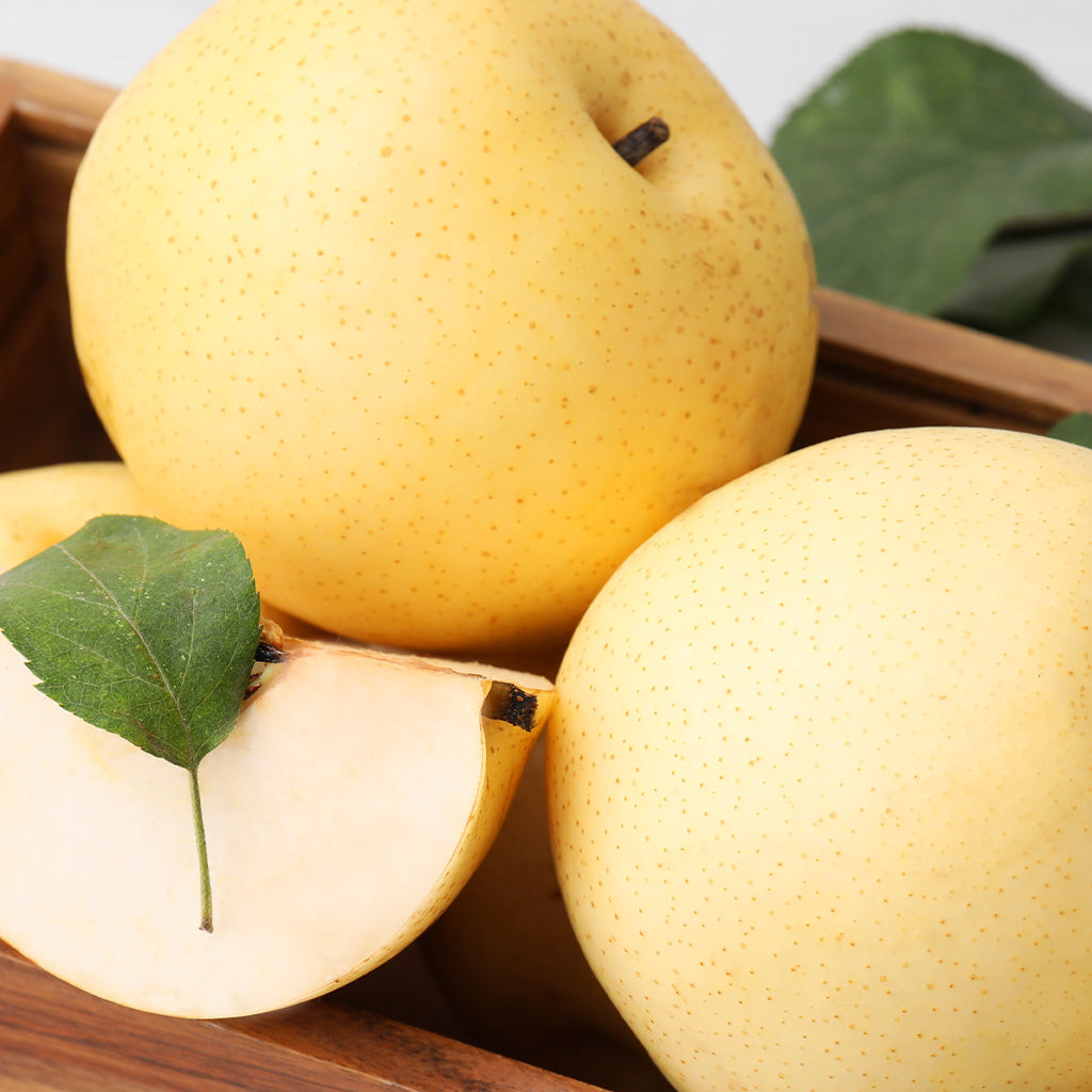 Asian Pear