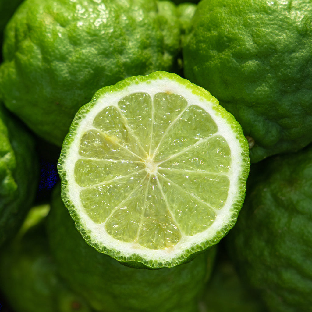 Bergamot