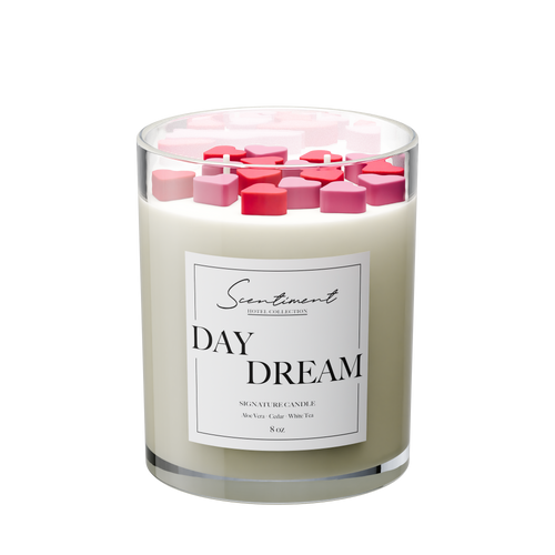 Day Dream 8oz Candle with the notes of Aloe Vera, Ginger, White Tea