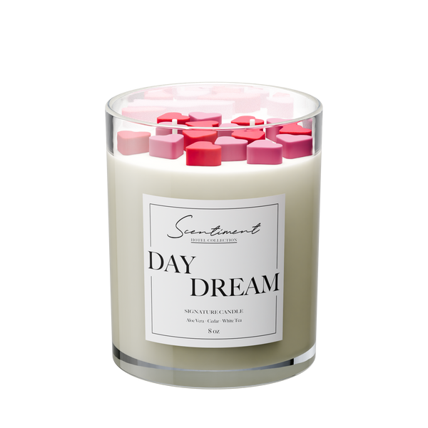 Day Dream 8oz Candle with the notes of Aloe Vera, Ginger, White Tea