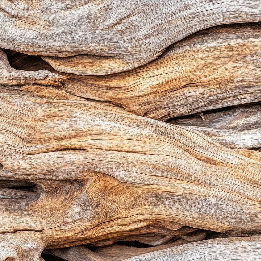 Driftwood