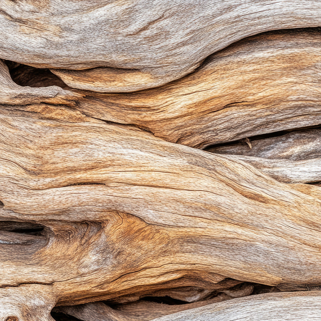 Driftwood