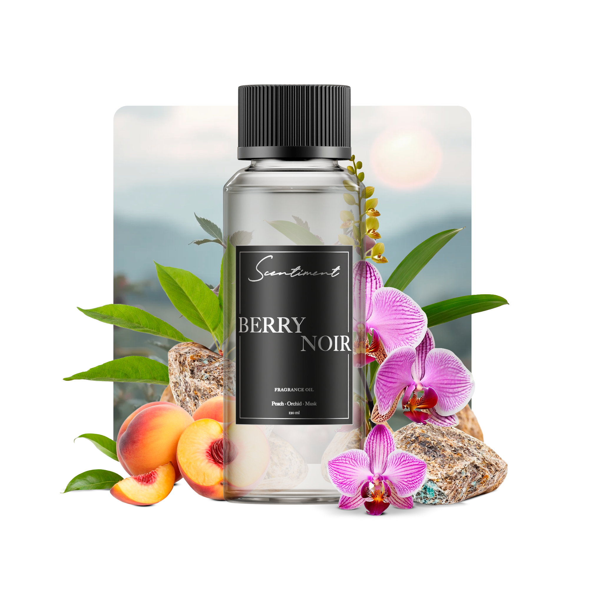 Berry Noir Fragrance Oil