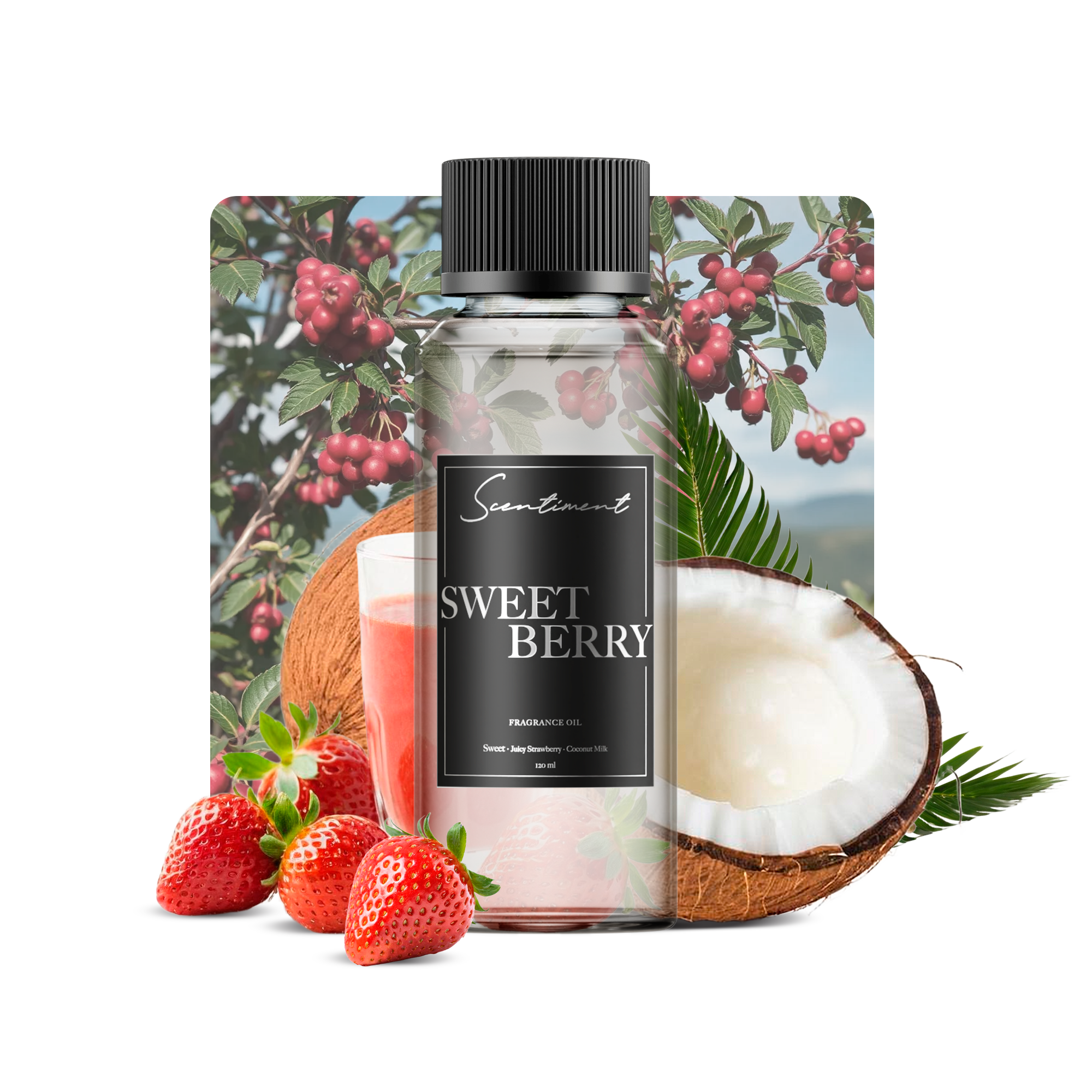 Sweet Berry Fragrance Oil