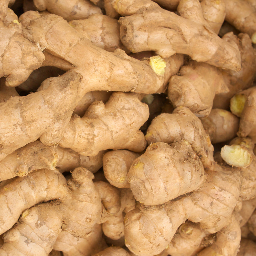 Ginger