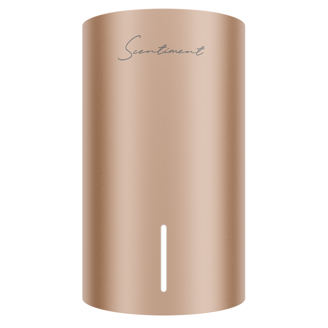 Diffuser Mini 2 LE