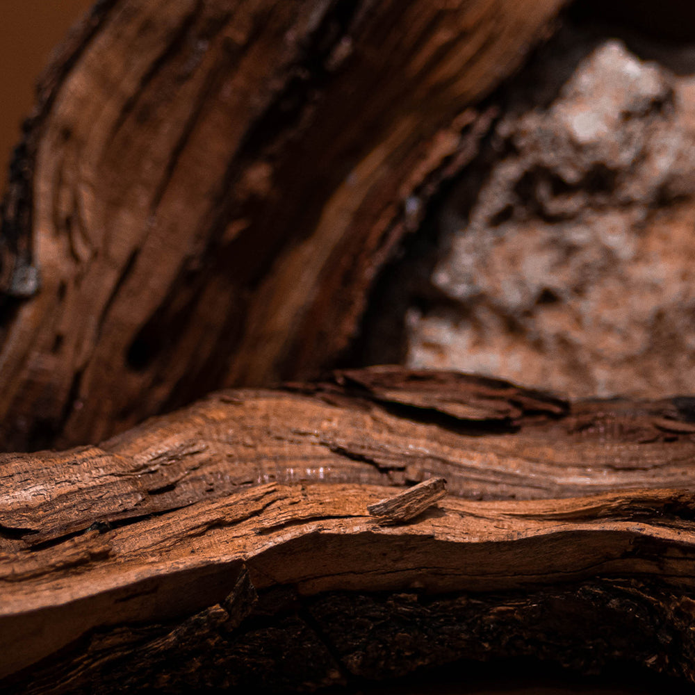 Oud Wood
