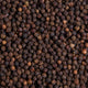 Pepper