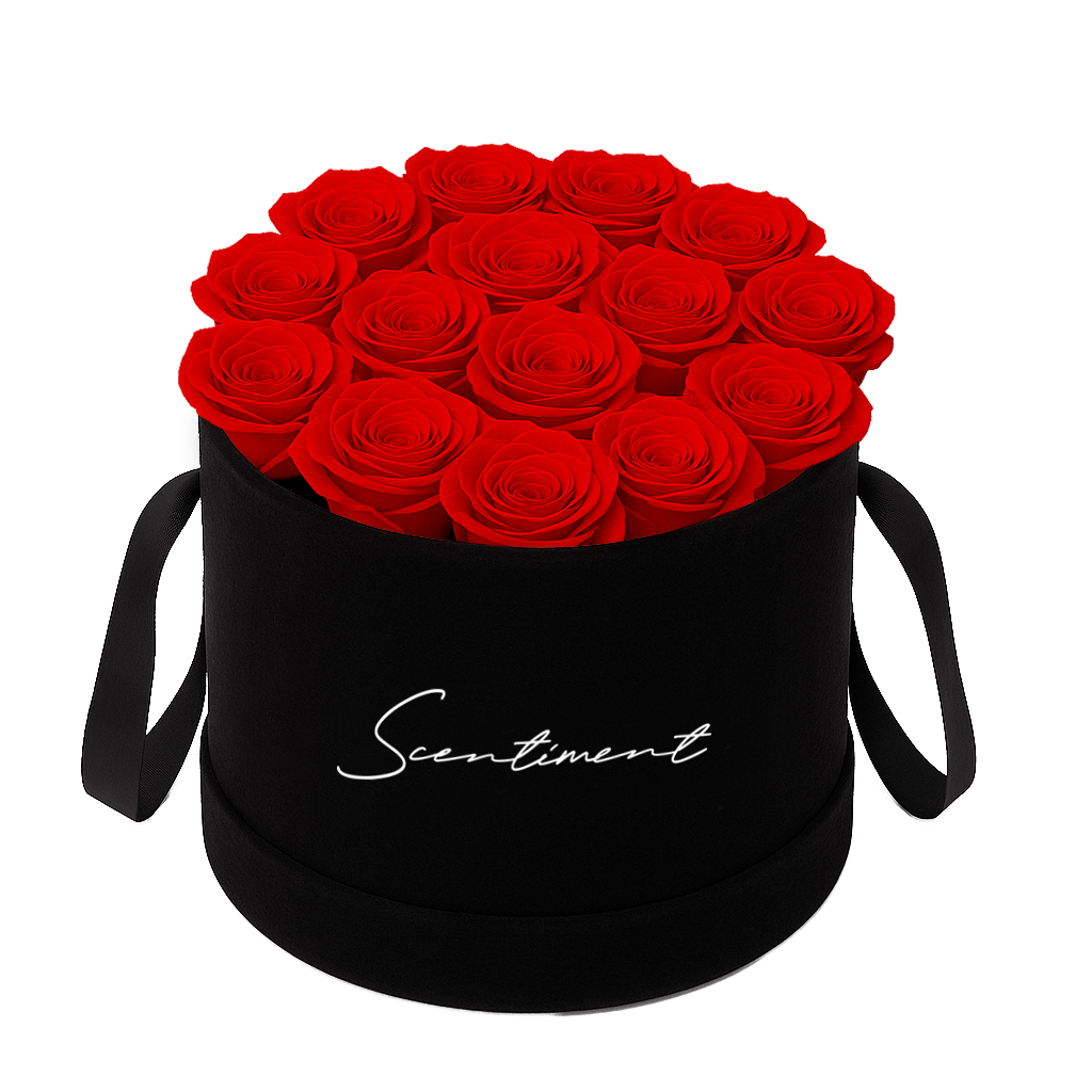 Suede Medium