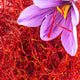 Saffron