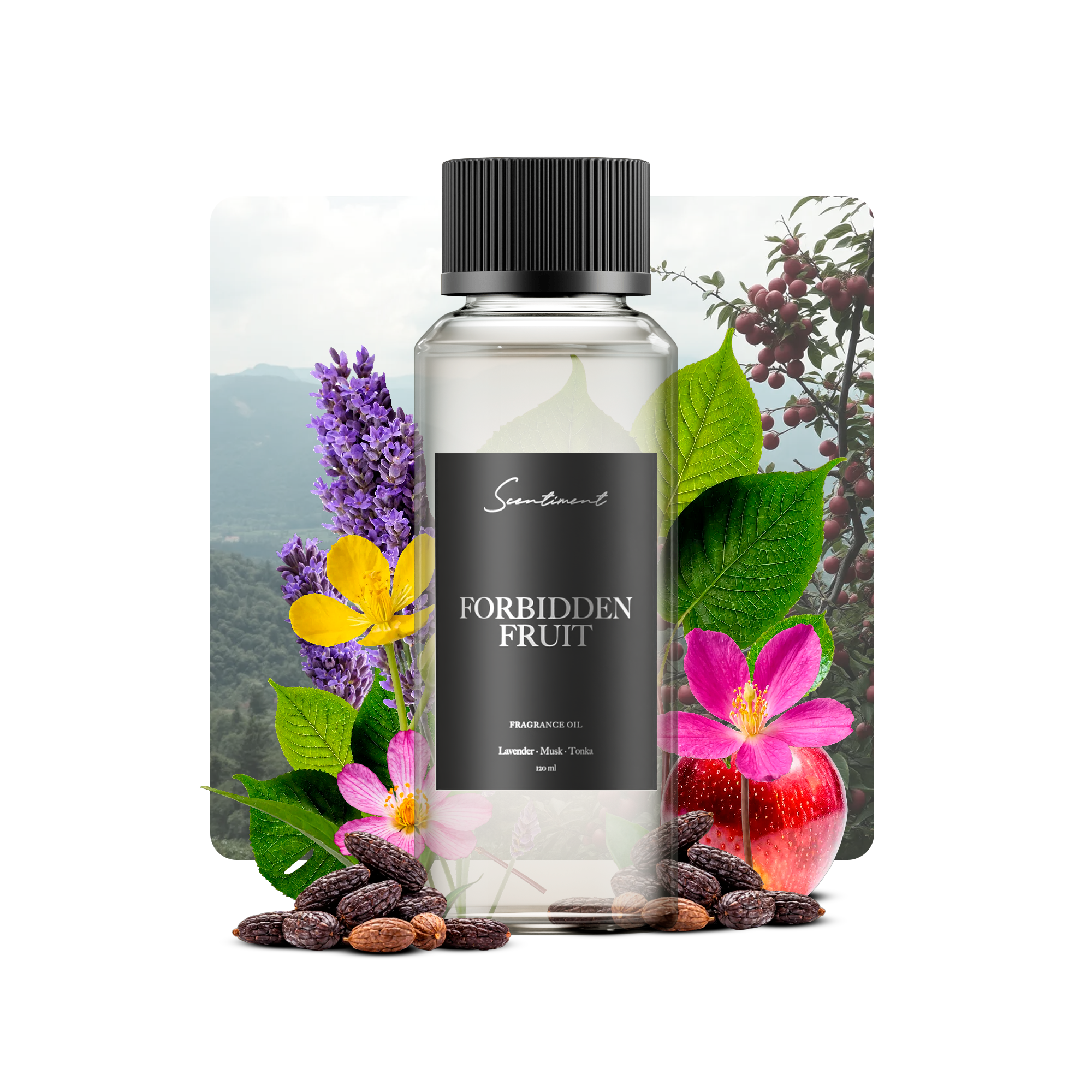 Forbidden Fruit Fragrance Diffuser Oil With Ingredients