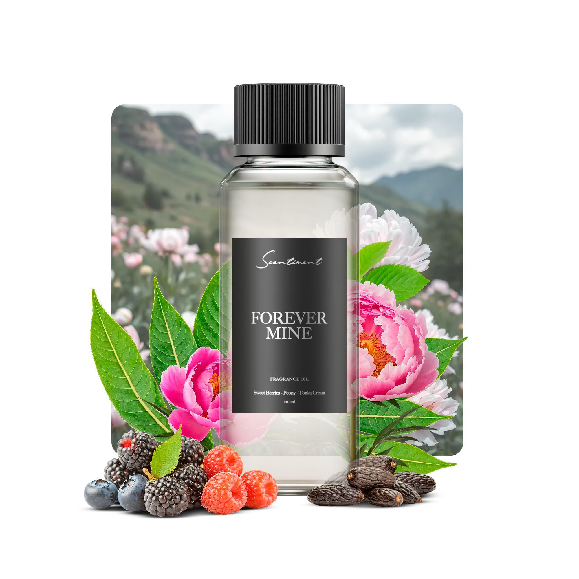 Forever Mine Fragrance Diffuser Oil With Ingredients