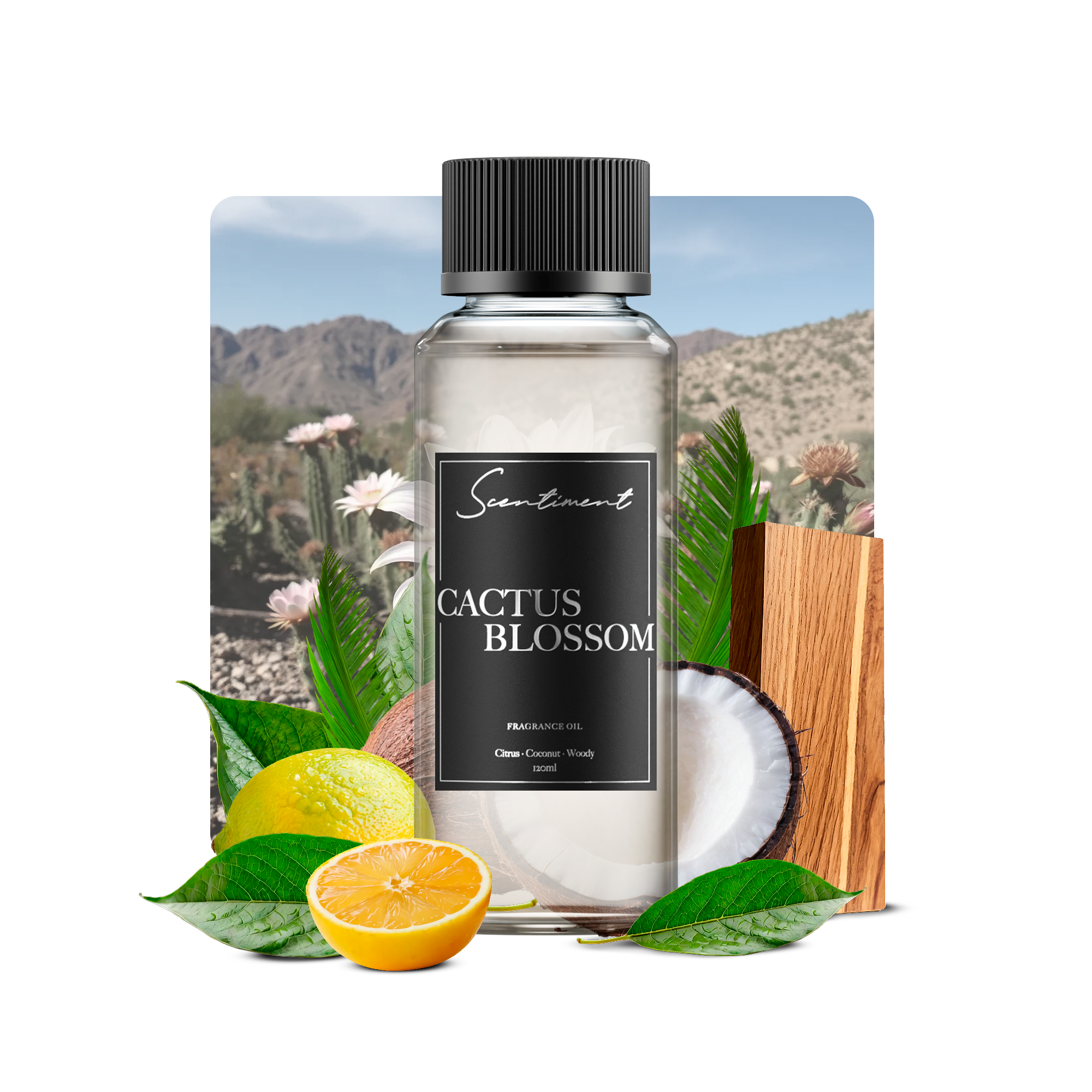 Cactus Blossom Fragrance Diffuser Oil With Ingredients

