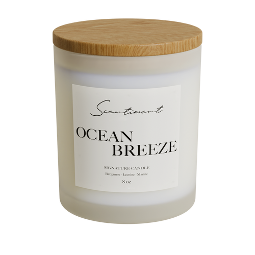 Frosted Candle 8oz Ocean Breeze Inspired by Ritz Carlton®
