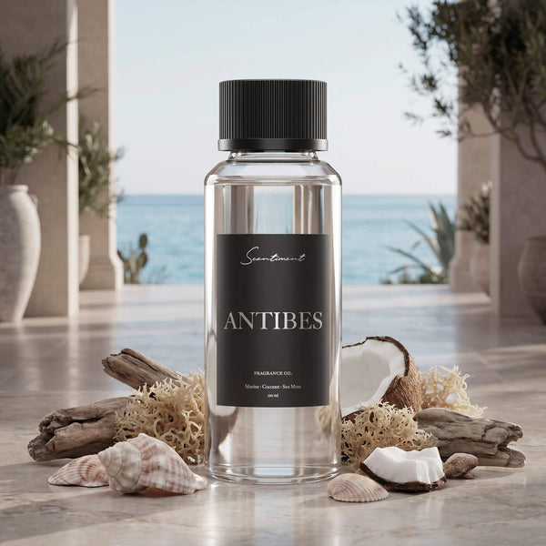 Scentiment Antibes diffuser fragrance oil surrounded with coconuts and sea moss, on a decorative surface near a scenic outdoor setting with an ocean view.