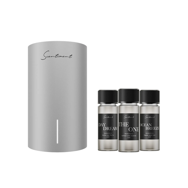 Silver Scentiment Scent Diffuser Mini 2 LE and top 3 hotel fragrance oils