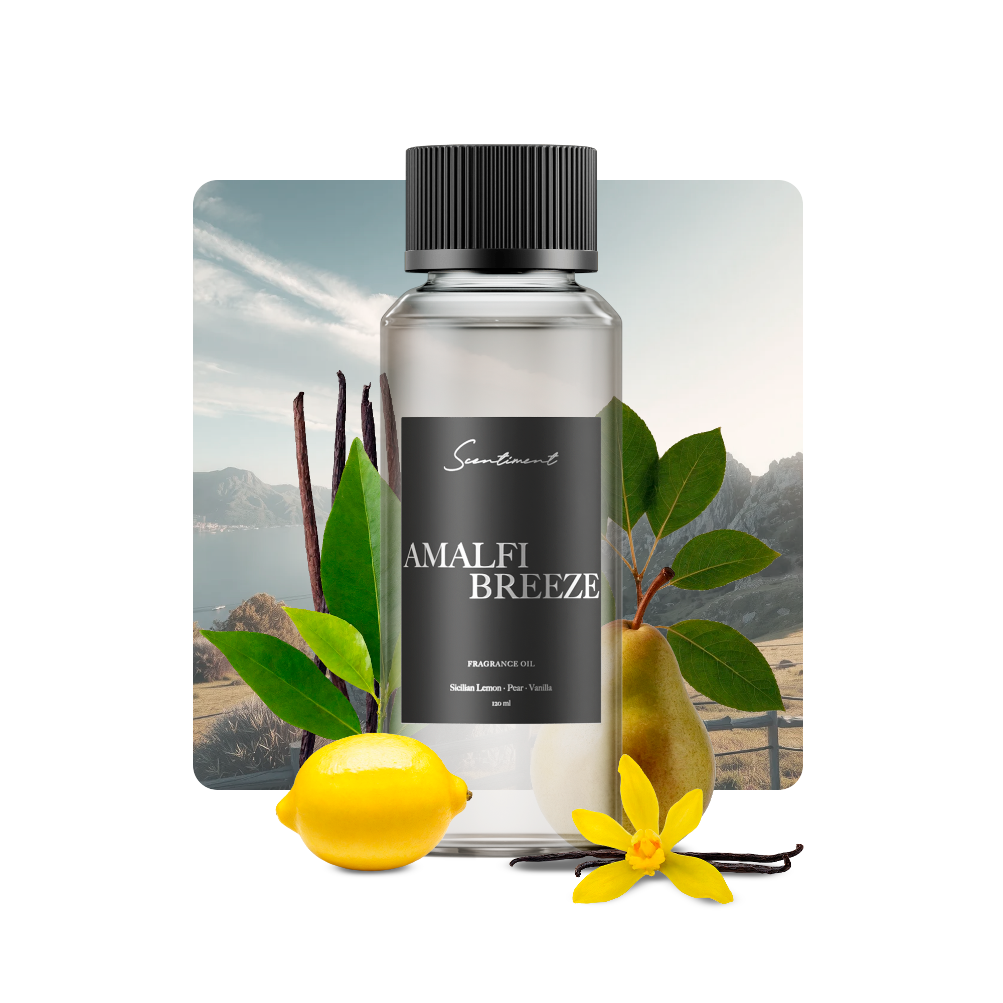 Amalfi-Breeze Fragrance Diffuser Oil With Ingredients