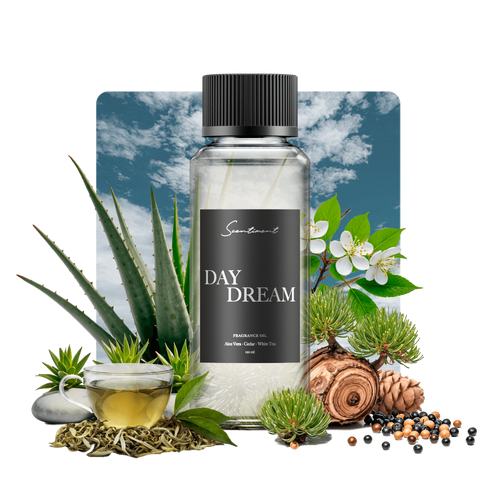 Day Dream Fragrance Diffuser Oil Inspired by Westin® With Ingredients