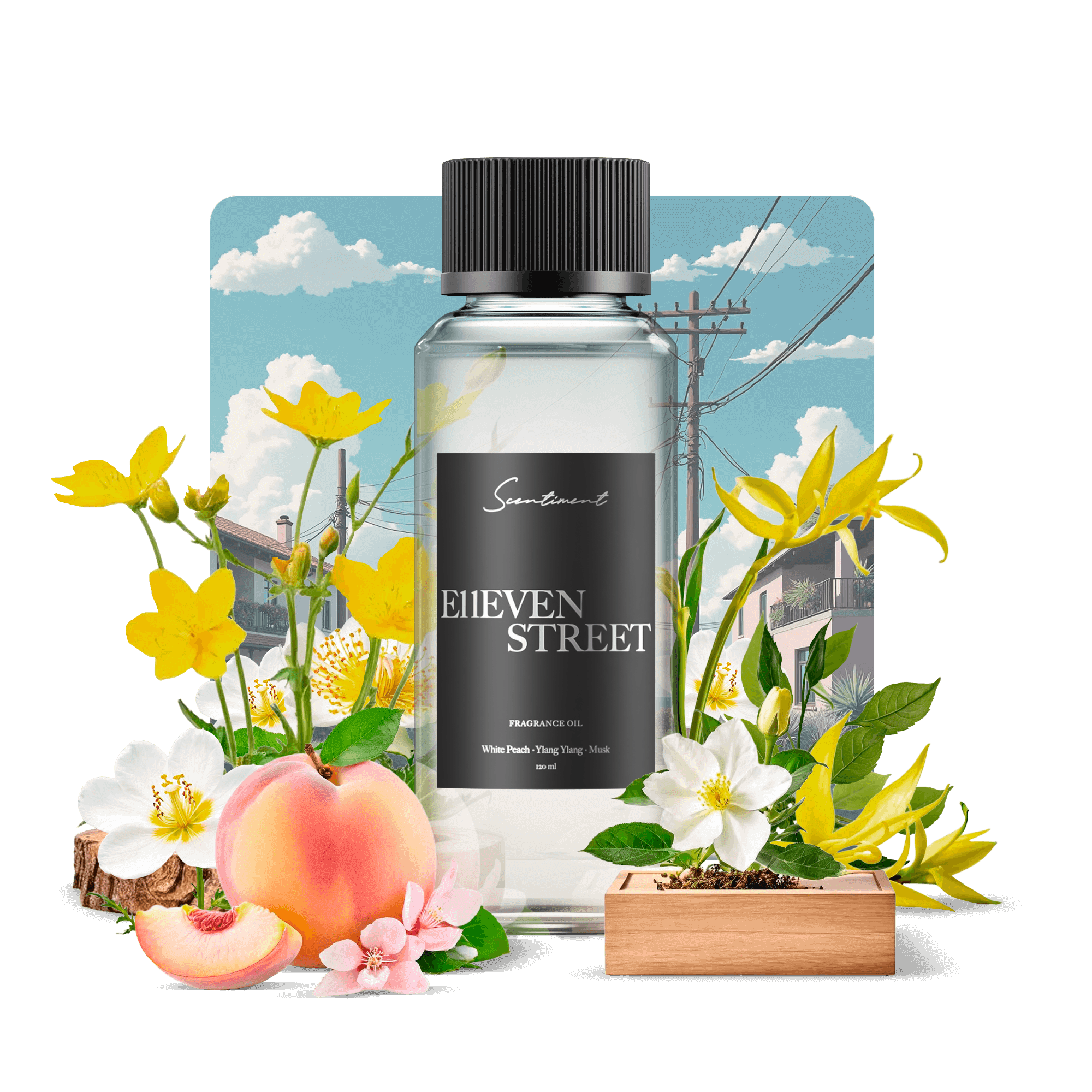 E11even Street Fragrance Diffuser Oil Inspired by E11even® Hotel With Ingredients