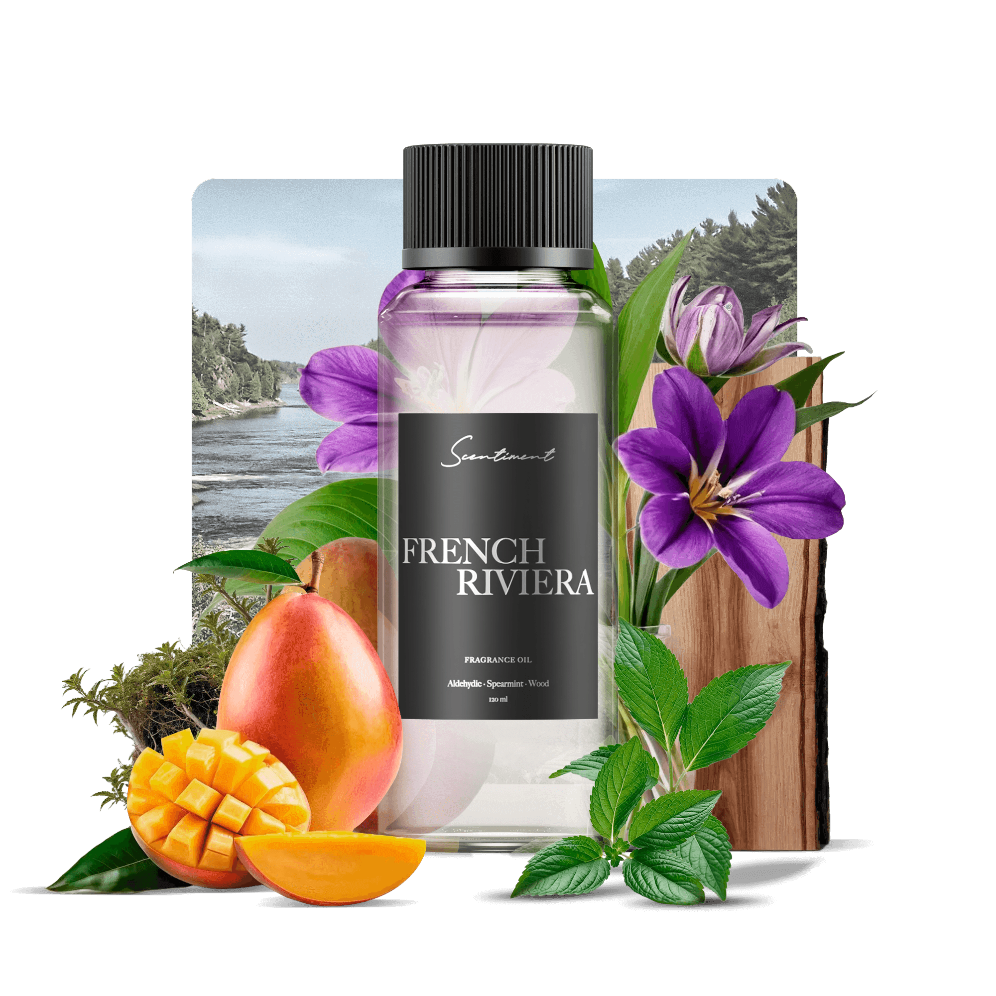 French Riviera Fragrance Diffuser Oil Inspired by Monte Carlo Inn® With Ingredients