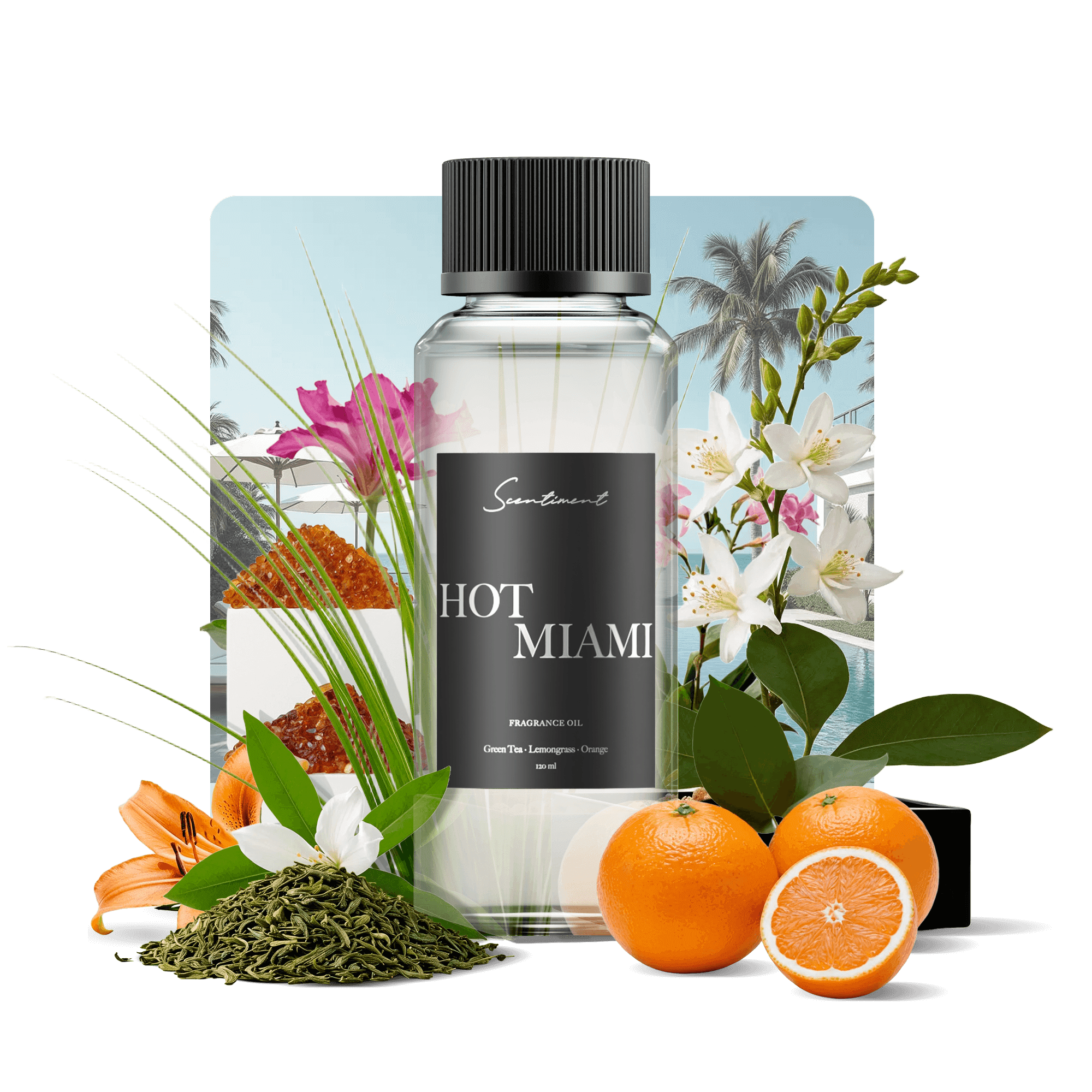 Hot Miami Fragrance Diffuser Oil Inspired by Delano® Beach Club With Ingredients