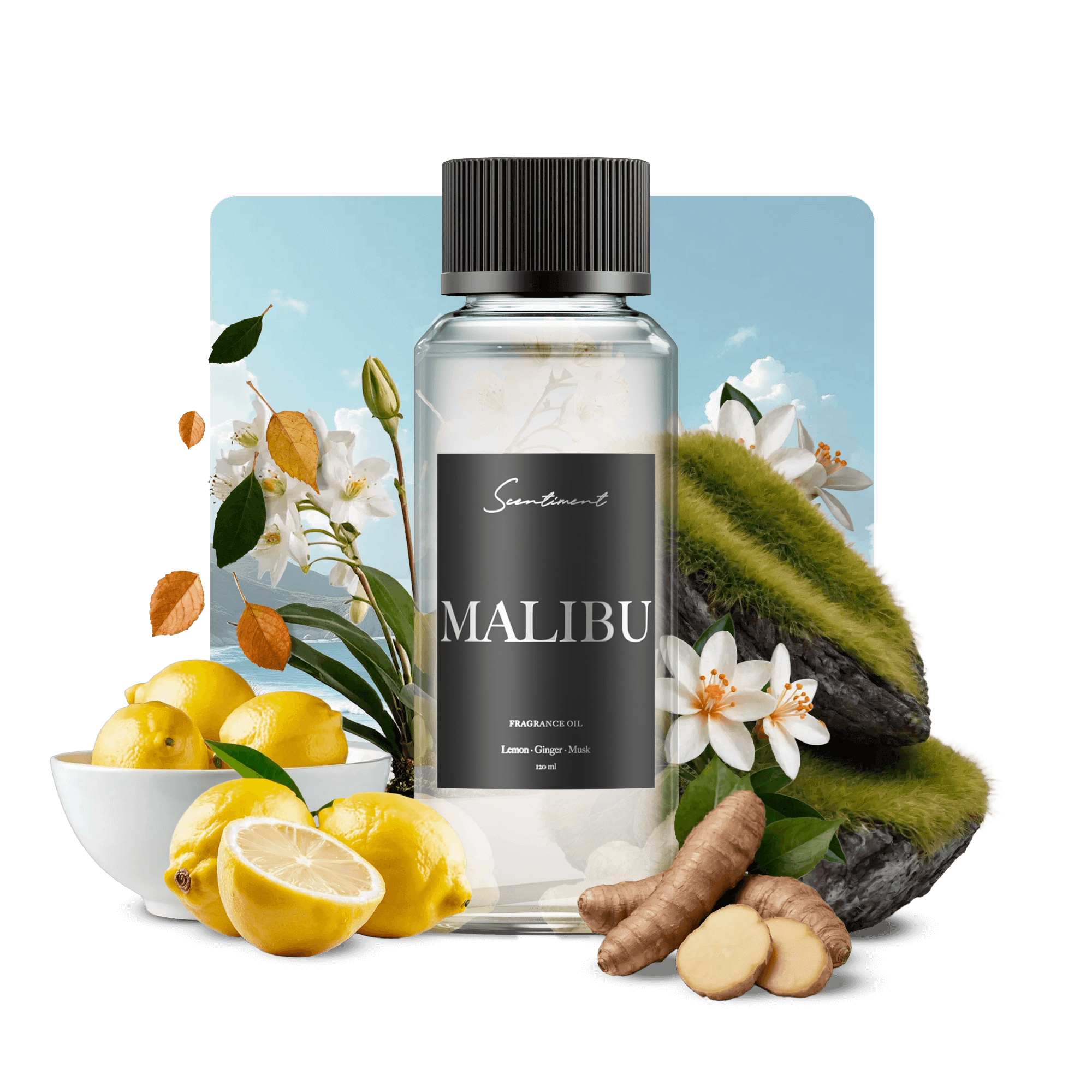 Malibu Fragrance Diffuser Oil Inspired by Nobu® Hotels With Ingredients