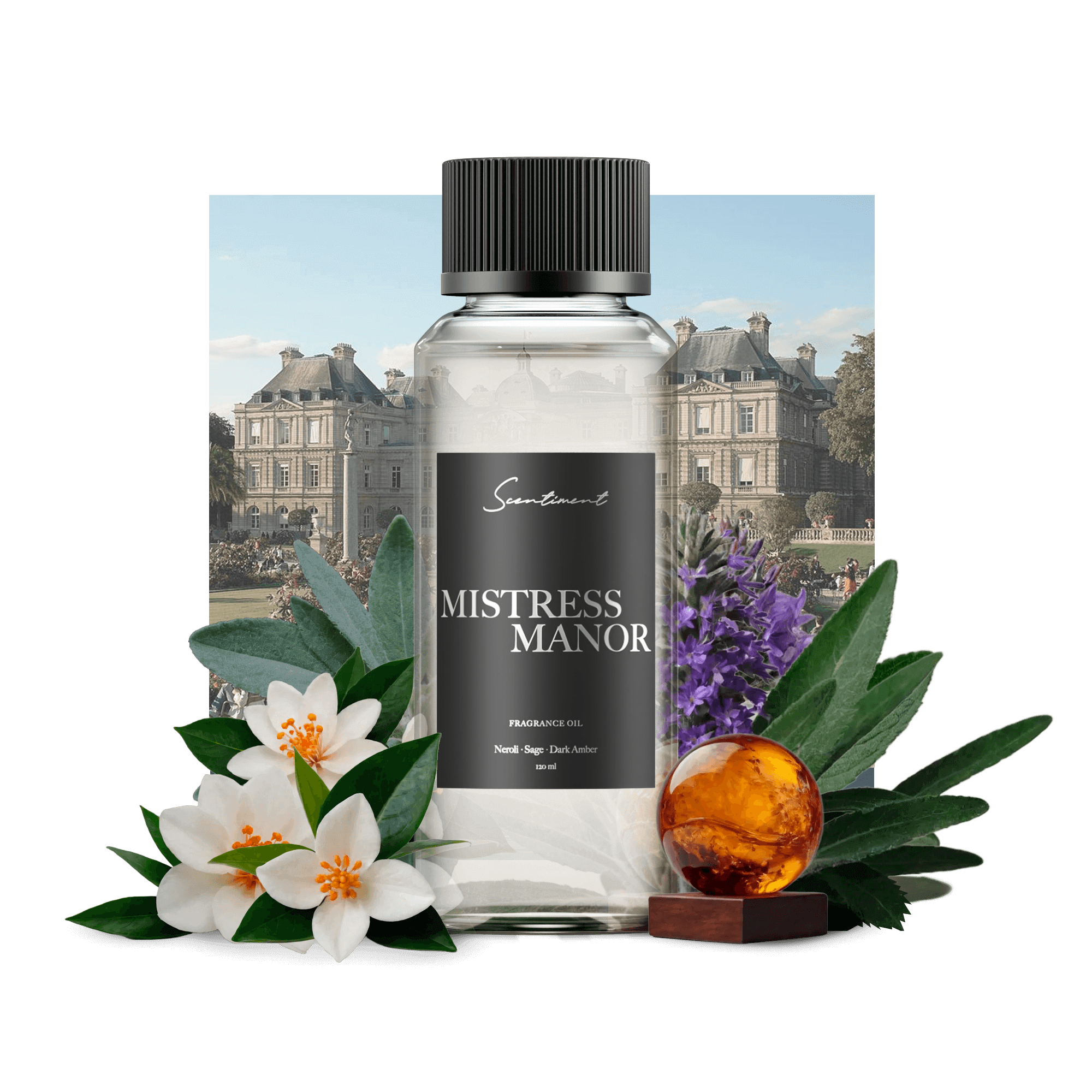 Mistress Manor Fragrance Diffuser Oil Inspired by Grace Vanderbilt® Hotel  With Ingredients