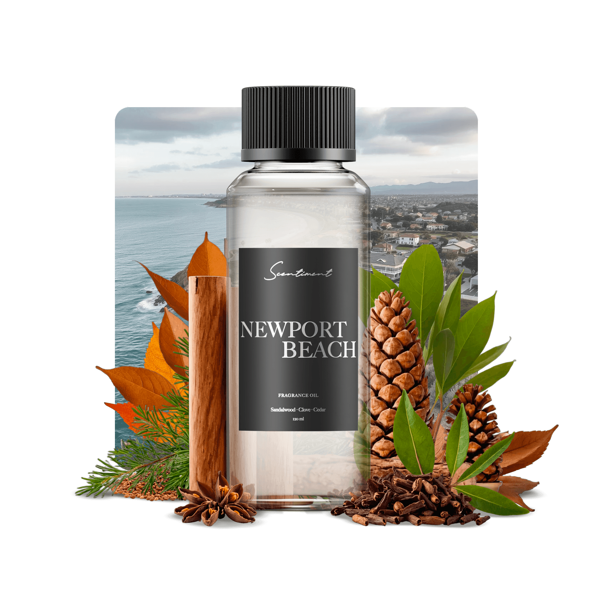 Newport Beach Fragrance Diffuser Oil Inspired by Pelican Hill Resort® With Ingredients
